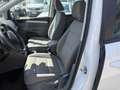 SEAT Alhambra Business 2,0 TDI 4WD Weiß - thumbnail 9