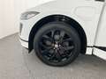 Jaguar I-Pace Austria Edition EV320 90kWh AWD Weiß - thumbnail 9