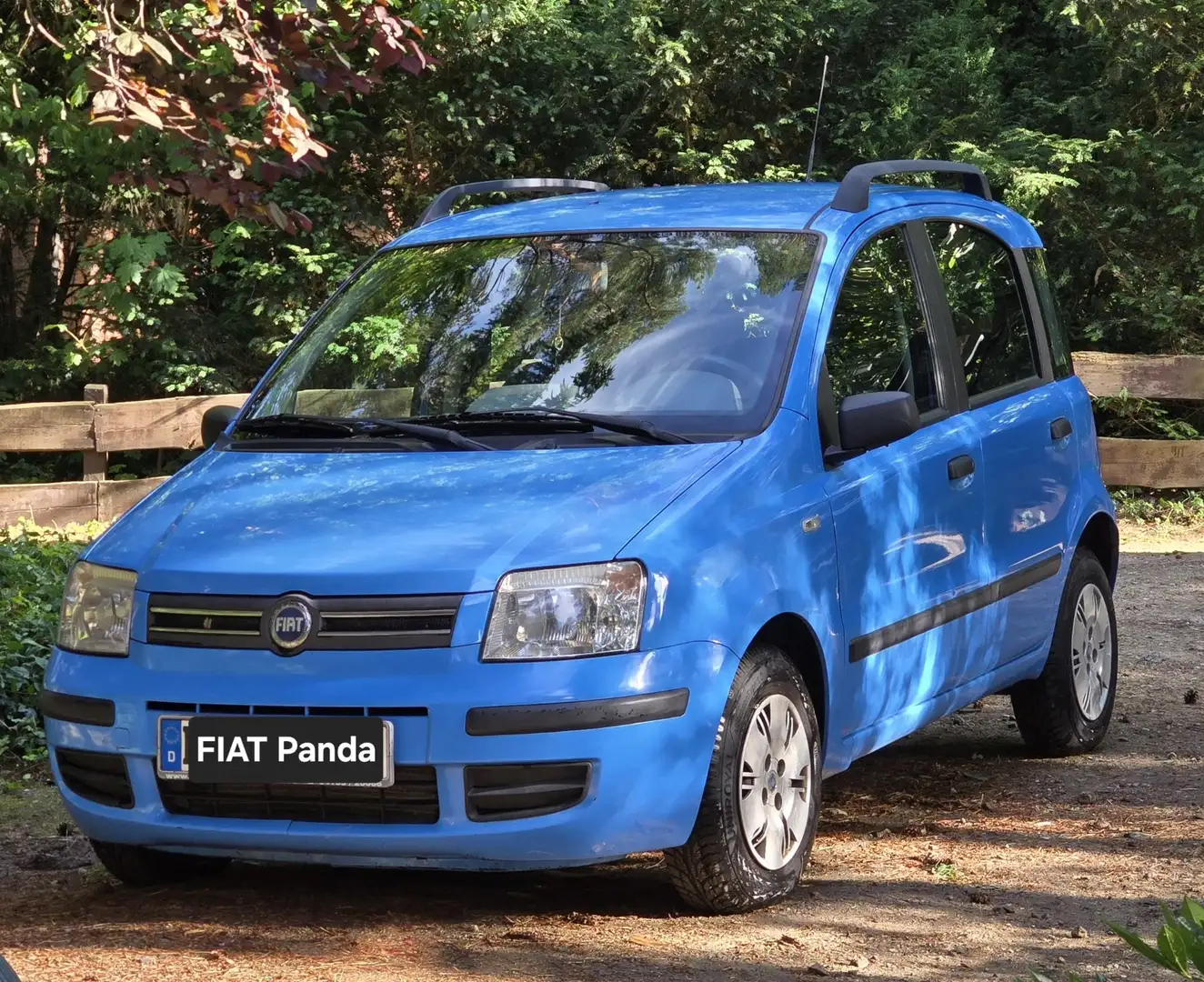 Fiat Panda 1.2 Automatik Dynamic Blau - 1