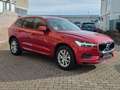 Volvo XC60 XC60 Momentum AWD*STANDHEIZUNG Rot - thumbnail 2