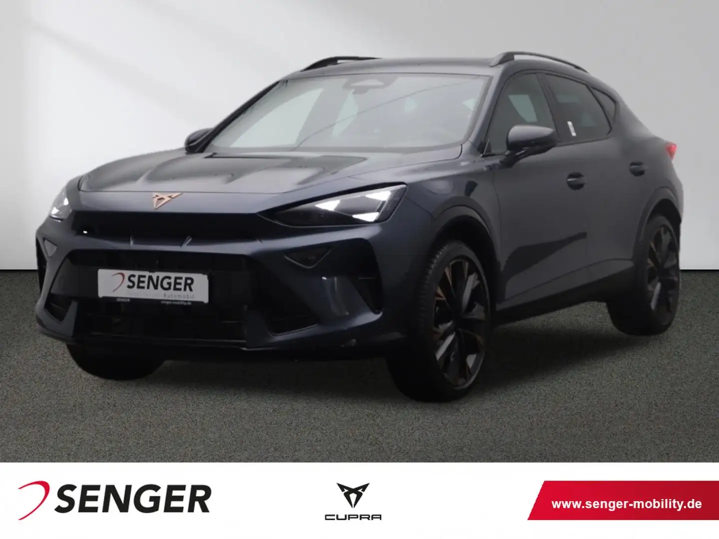 CUPRA Formentor VZ 2.0 TSI DSG Navi 360° Kamera AHK Gris - 1