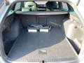 Skoda Octavia Sportline TDI Grau - thumbnail 12