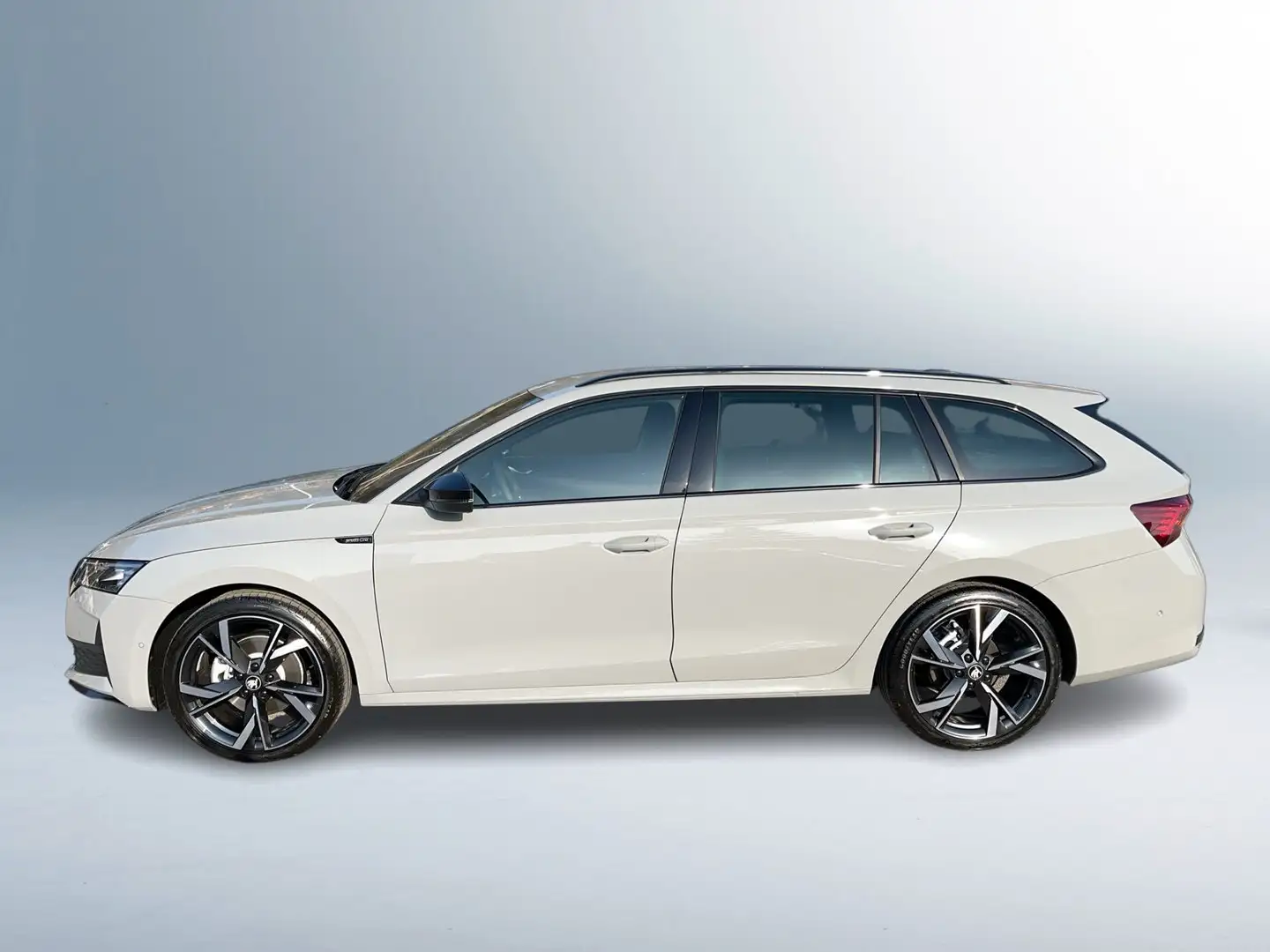 Skoda Octavia Sportline TDI Grau - 2