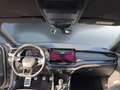 Skoda Octavia Sportline TDI Grau - thumbnail 10