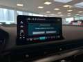 Honda Civic Type R 2.0 I-VTEC 329cv +GPS+CAM+LED+Options Rot - thumbnail 29