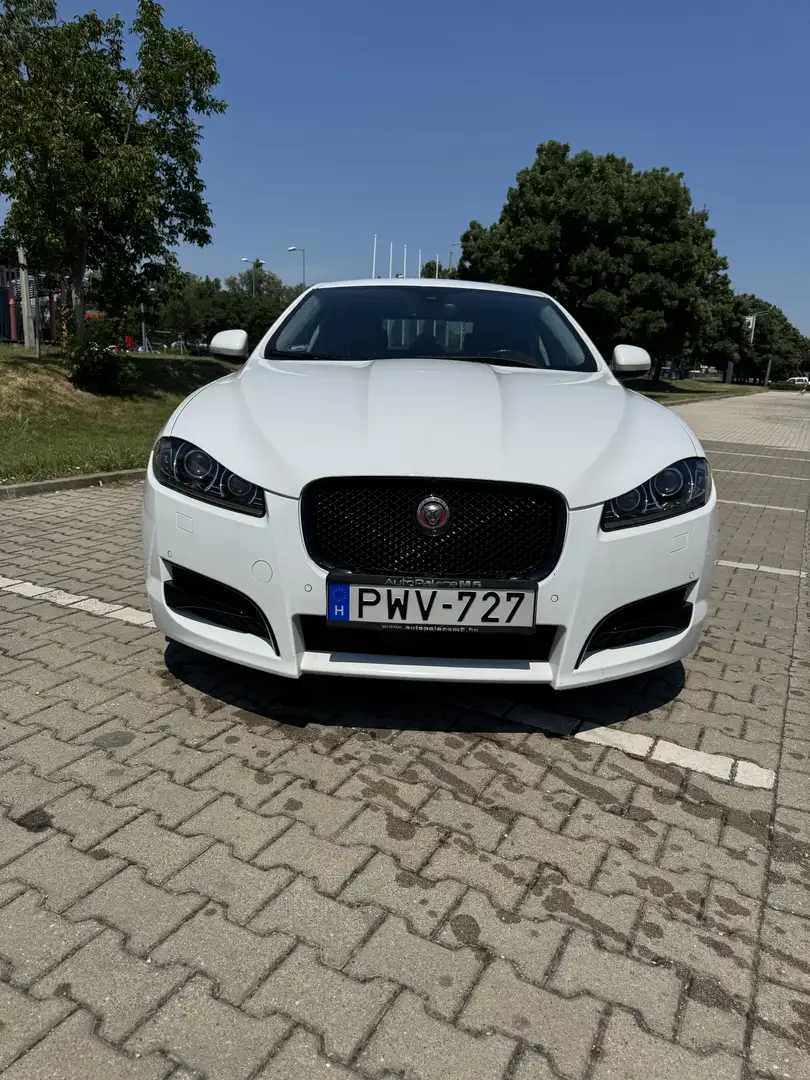 Jaguar XF 2.2 D. FULL EXTRA Weiß - 1