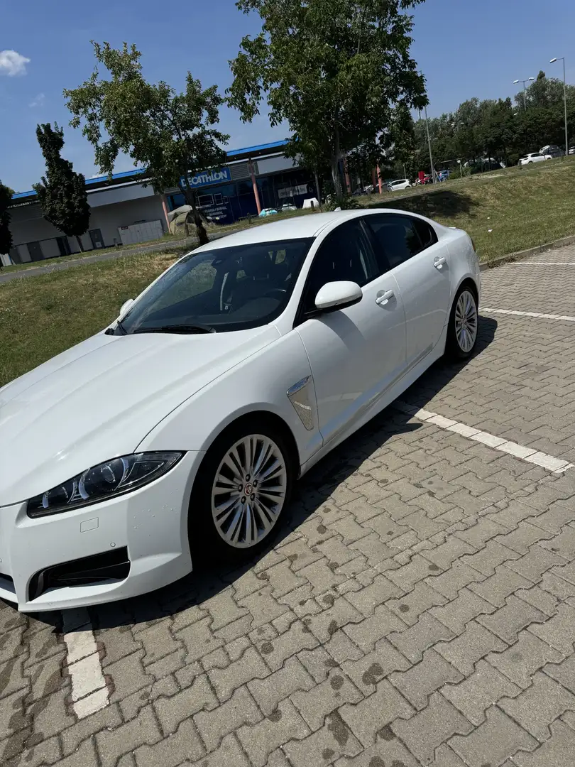 Jaguar XF 2.2 D. FULL EXTRA Weiß - 2