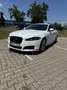 Jaguar XF 2.2 D. FULL EXTRA Weiß - thumbnail 16