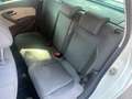 Volkswagen Polo V 2014 5p 1.0 mpi 75cv - ANCHE PER NEOPATENTATI Bianco - thumbnail 11