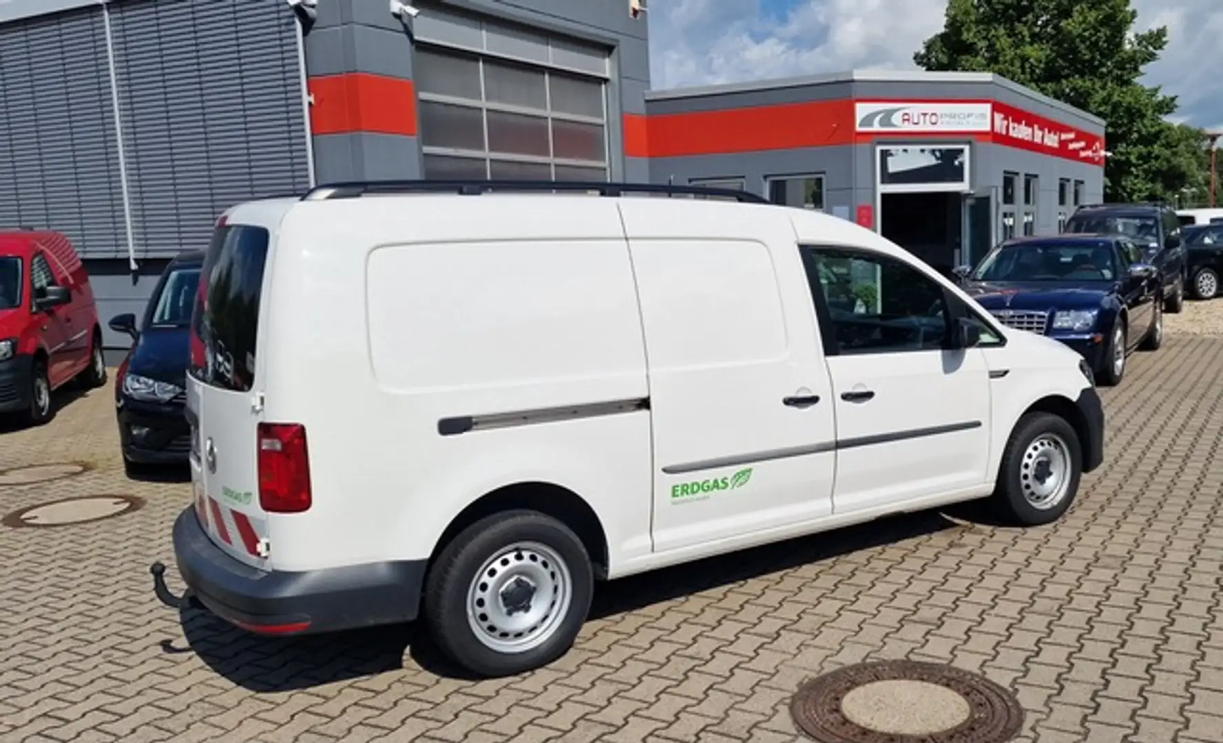 Volkswagen Caddy MAXI Kasten Nfzg.1,4TGi BMT Erdgas+Benzin Weiß - 1