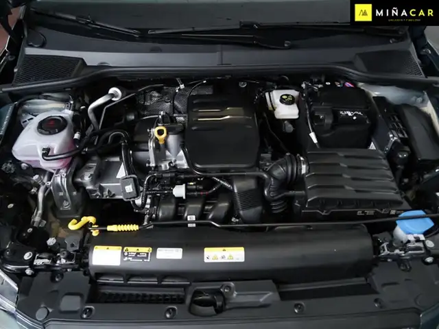 SEAT Ibiza view 24