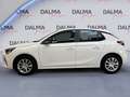 Opel Corsa 5 Porte 1.2  Blitz Edition Bianco - thumbnail 2