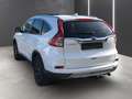 Honda CR-V Executive 4WD Weiß - thumbnail 4