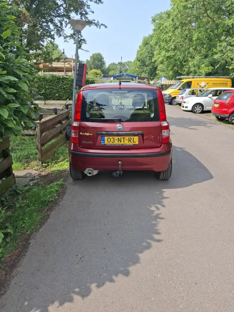 Fiat Panda 1.2 Dynamic - 2