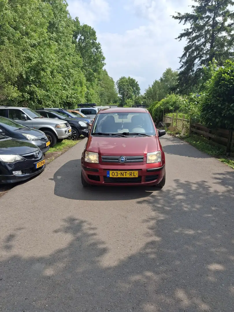 Fiat Panda 1.2 Dynamic - 1