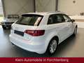Audi A3 2.0TDI Sback Ambition NaviXenonSportsitze2.HD Weiß - thumbnail 7