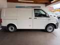 Volkswagen T6 Transporter Zahnriemen NEU Klima TÜV 08/2027 LKW-Zulassung Weiß - thumbnail 7