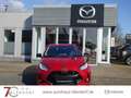 Mazda 2 Hybrid Select LED|Kamera|Allwetter Rot - thumbnail 4