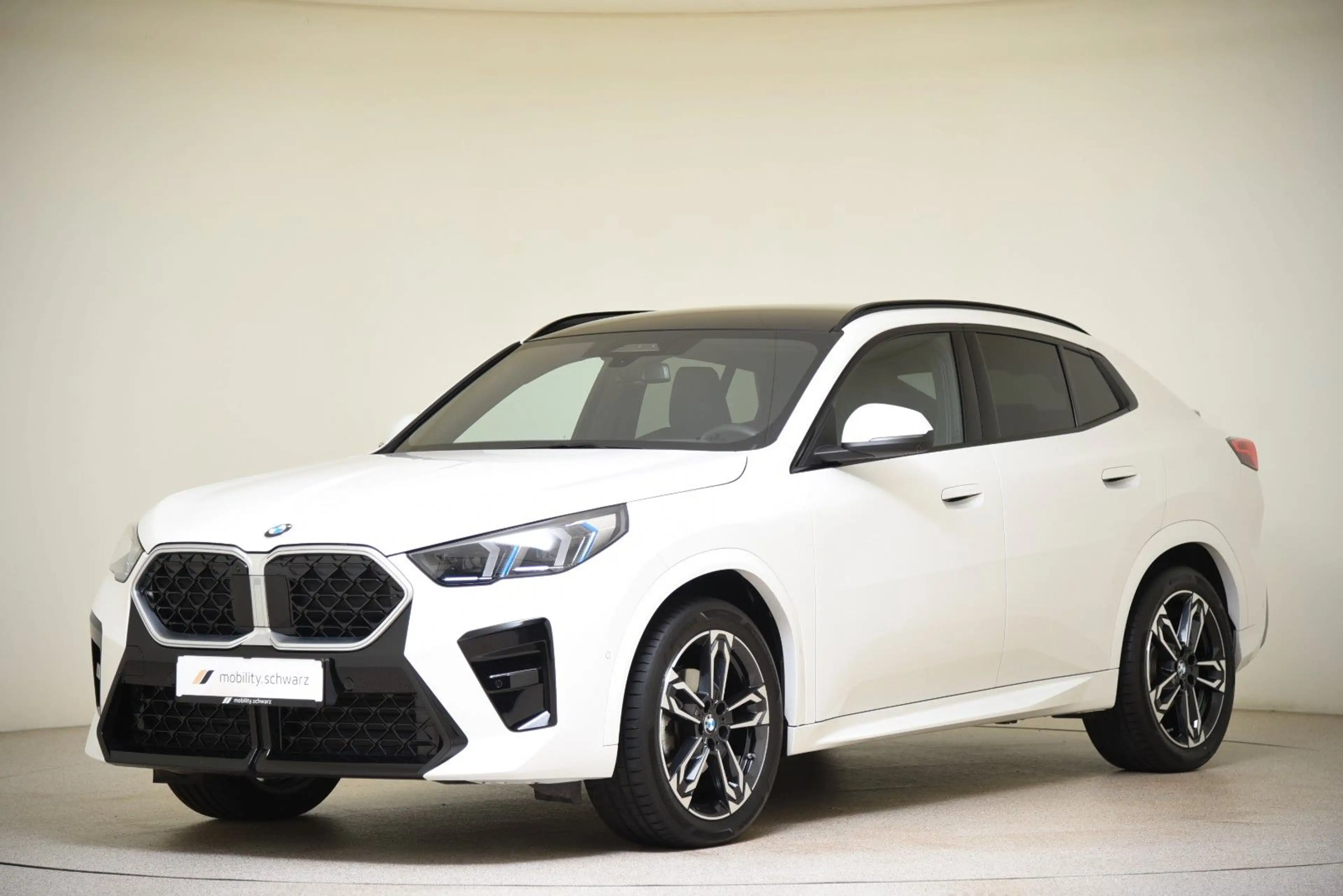 BMW X2 xDrive20d M Sport Pano LED HUD H&K AHK DAB