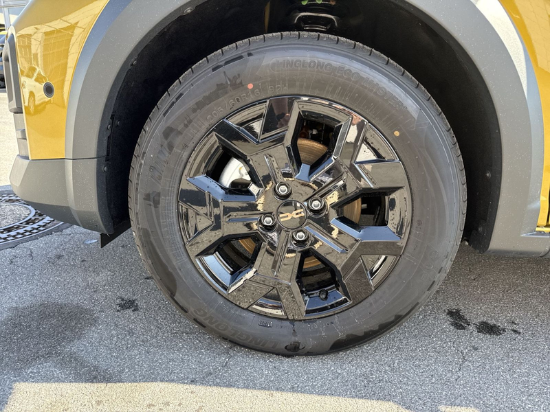 Dacia Sandero III 1.2 ECO-G 120 Stepway Extreme — photo 11