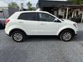 SsangYong Korando Korando 2.0 e3 2WD PX EXPORT Weiß - thumbnail 4