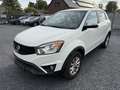SsangYong Korando Korando 2.0 e3 2WD PX EXPORT Weiß - thumbnail 1