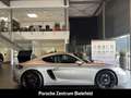 Porsche Cayman 718 Style Edition LED PDLS Plus 20-Zoll Silber - thumbnail 7