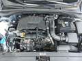 Hyundai i30 1,0 T-GDI Trend Line DCT Aut. Gris - thumbnail 19