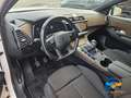 DS Automobiles DS 7 Crossback 1.2 puretech Business 130cv Weiß - thumbnail 8