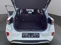 Ford Puma Puma 1,0 EcoBoost Hybrid ST-Line *AKTION* Weiß - thumbnail 18