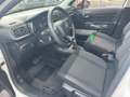 Citroen C3 PureTech 110 Automatik SHINE Allwetter Weiß - thumbnail 12
