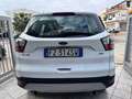 Ford Kuga Kuga II 2017 2.0 tdci TITANIUM- NAVI - CARPLAY - Blanc - thumbnail 5