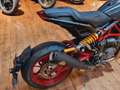 Indian FTR  R Carbon "J & H "+100 Jahre ( 250/4,99 %) Червоний - thumbnail 14