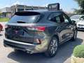 Ford Kuga 1.5 EcoBlue 120 CV 2WD ST-Line X Grau - thumbnail 2