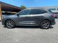 Ford Kuga 1.5 EcoBlue 120 CV 2WD ST-Line X Grau - thumbnail 3
