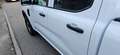 Ford Ranger Doppelkabine XL 4x4 2,0 EcoBlue Weiß - thumbnail 5