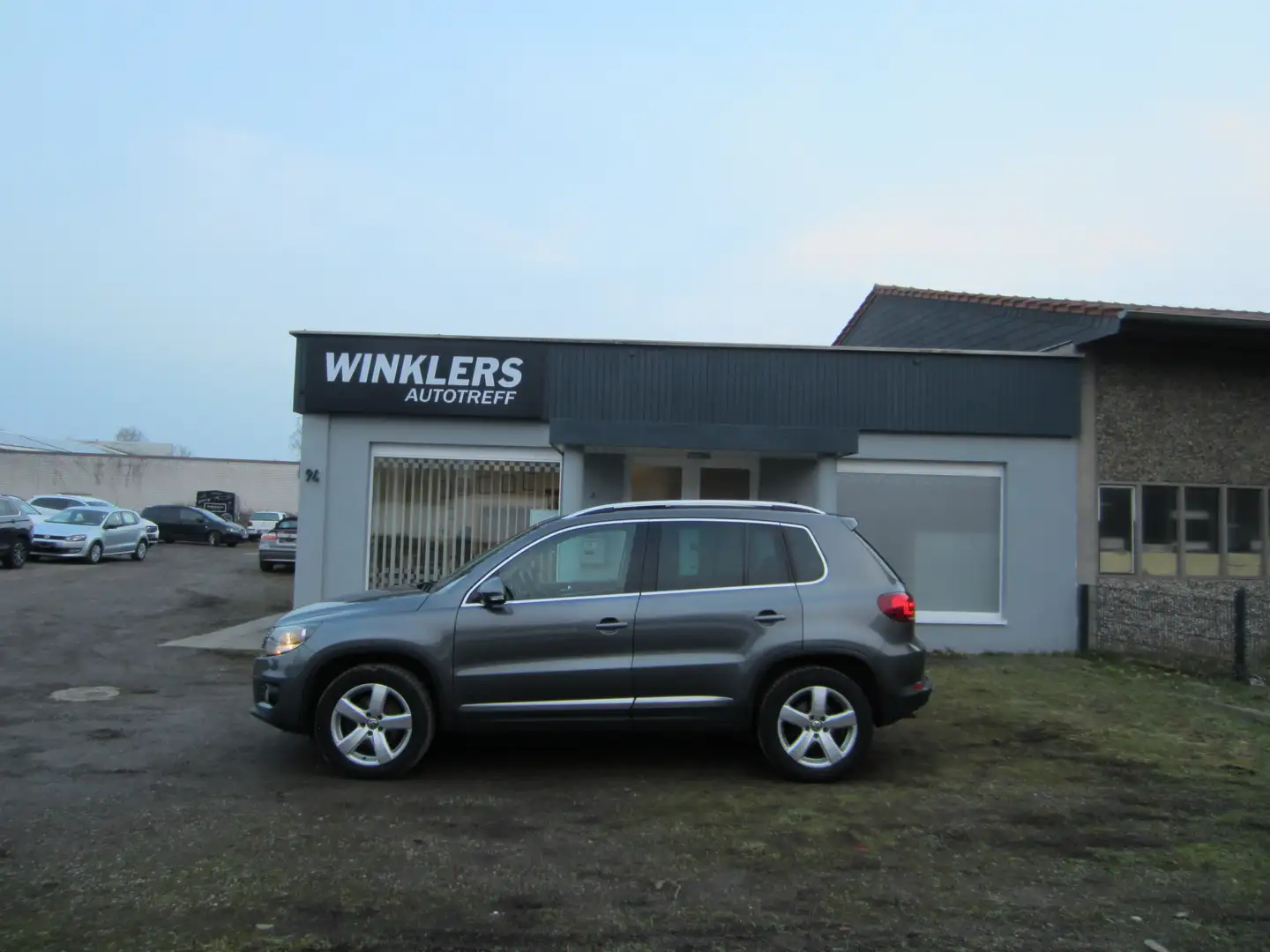 Volkswagen Tiguan Sport 4-Motion (Allrad) Gris - 2