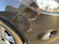Ford Focus Champions Edition (Neu Inspektion) - thumbnail 14