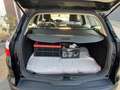 Ford Focus Champions Edition (Neu Inspektion) - thumbnail 12