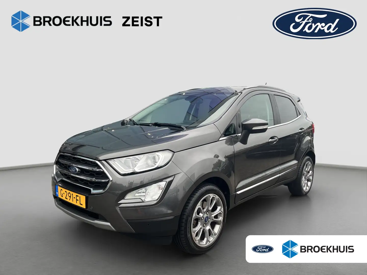 Ford EcoSport 1.0 EcoBoost Titanium | Parkeercamera | B&O Audio Gris - 1