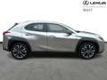 Lexus UX 250h Business Line Plus Gold - thumbnail 14