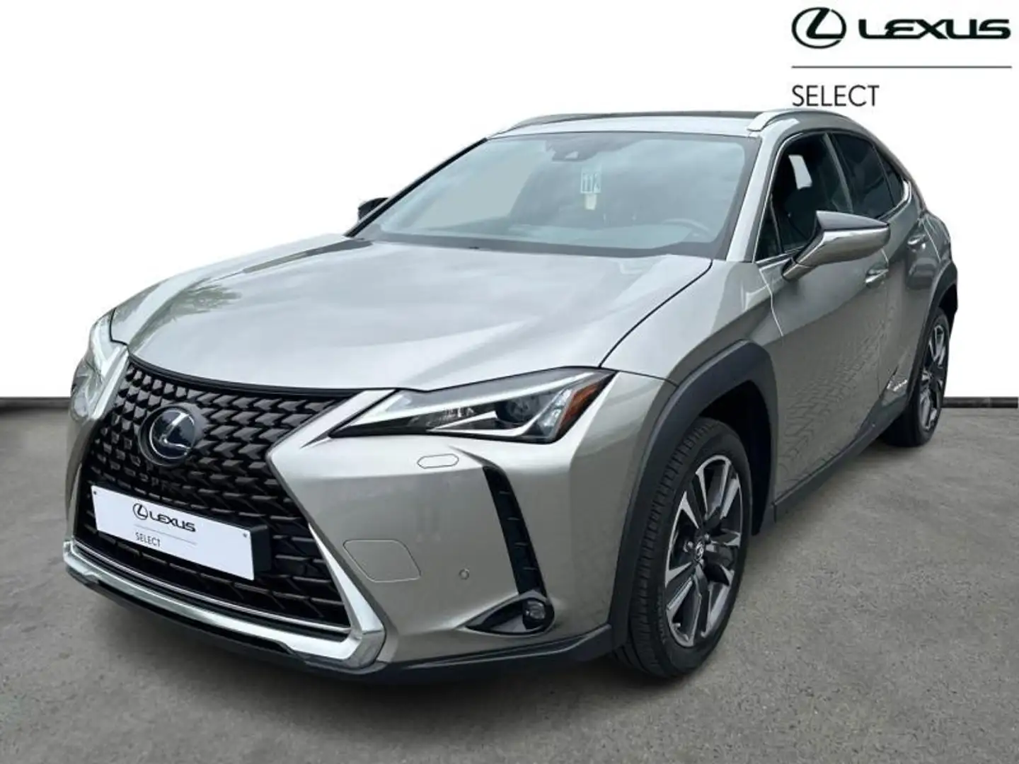 Lexus UX 250h Business Line Plus Gold - 1