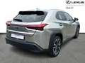 Lexus UX 250h Business Line Plus Gold - thumbnail 15