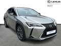 Lexus UX 250h Business Line Plus Gold - thumbnail 16