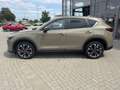 Mazda CX-5 2.5 (194PS) FWD Autom. AdVantage Allwetterr Beige - thumbnail 3