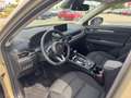 Mazda CX-5 2.5 (194PS) FWD Autom. AdVantage Allwetterr Beige - thumbnail 15