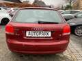 Audi A3 1.6Attraction*TÜV Neu*Service Neu*Bremsen NeU Rot - thumbnail 5