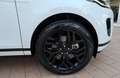 Land Rover Range Rover Evoque Range Rover Evoque 2.0D I4 163 CV AWD Auto SE Wit - thumbnail 29