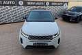 Land Rover Range Rover Evoque Range Rover Evoque 2.0D I4 163 CV AWD Auto SE Wit - thumbnail 4
