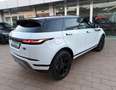 Land Rover Range Rover Evoque Range Rover Evoque 2.0D I4 163 CV AWD Auto SE Wit - thumbnail 6